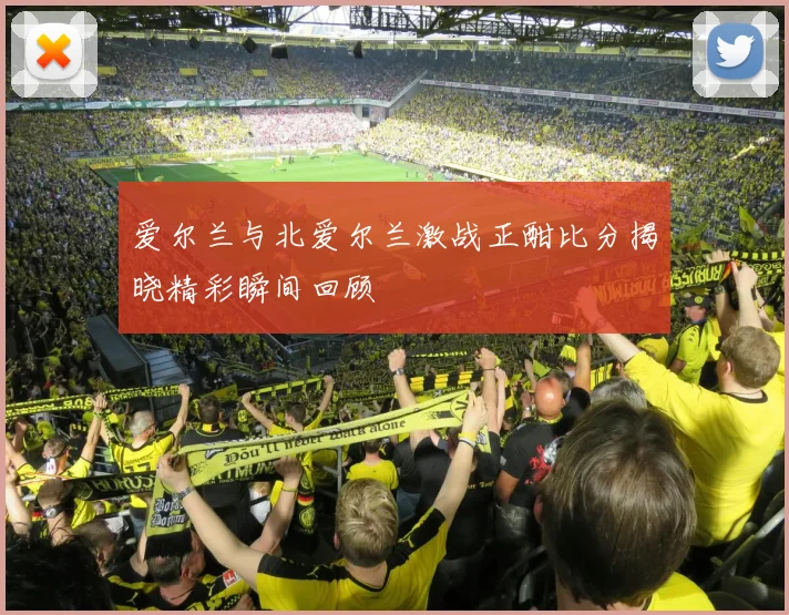 爱尔兰与北爱尔兰激战正酣比分揭晓精彩瞬间回顾