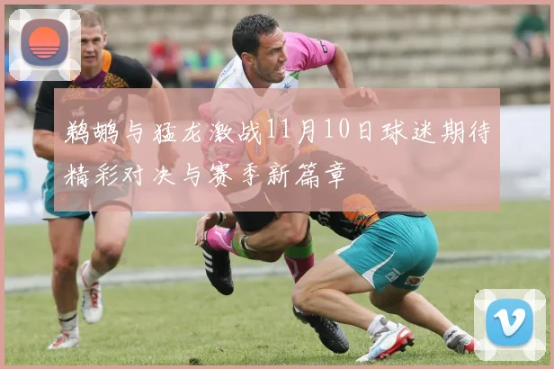 鹈鹕与猛龙激战11月10日球迷期待精彩对决与赛季新篇章